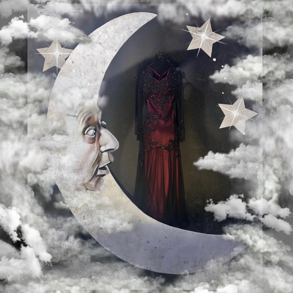 Beautiful  Beaded Meshed Dress set